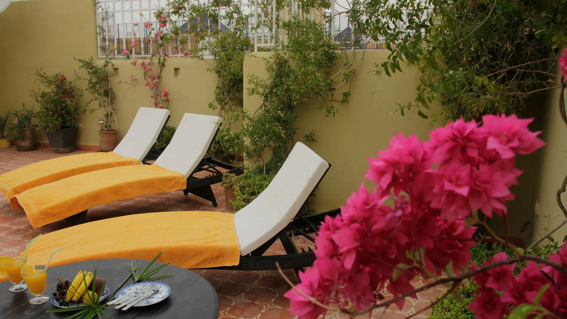 *** Guest house Riad Miliana Marrakesh Morocco